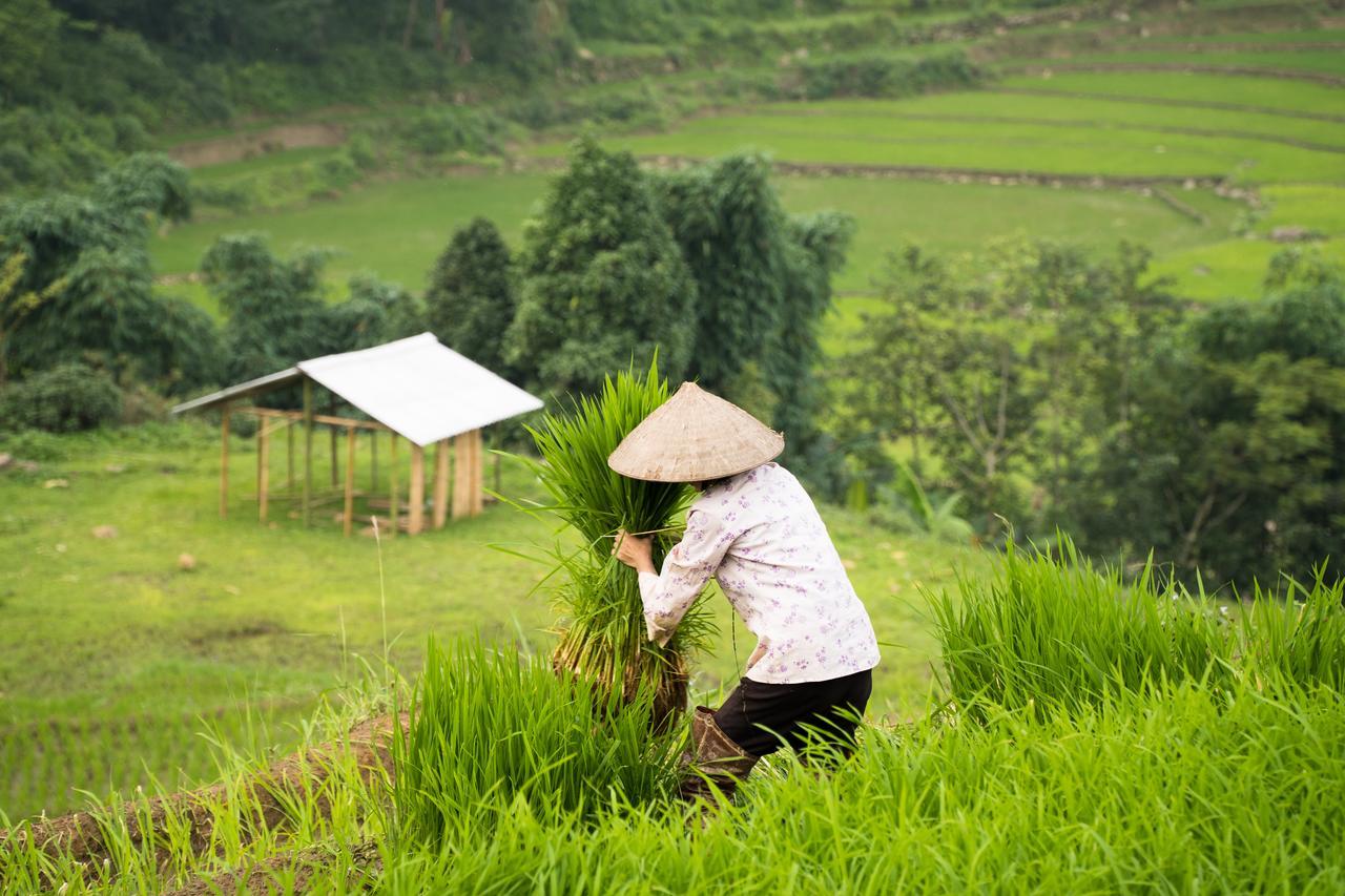 Tavan Ecologic Homestay Lao Chai Exterior photo